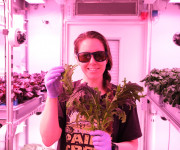 NASA seeds germinate in DLR’s EDEN ISS greenhouse